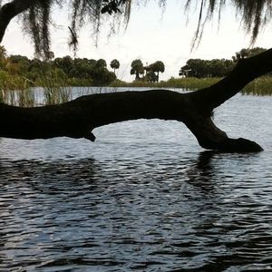 Meet your Posher, Sammy